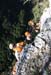 20101002_autridgec_14