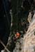20101002_autridgek_24
