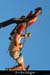 20060905_autridge_086