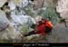20070406_rappelfousoubieup_jean01