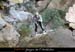 20070406_rappelfousoubieup_jnoel02
