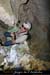 20070406_rappelfousoubieup_richard01