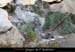 20070406_rappelfousoubieup_richard03