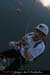 20070409_rappelfousoubiedwn_roby2