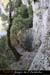 20090730_foussoubiepuits01