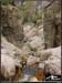 chassezac_004rr