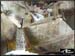 chassezac_020rr