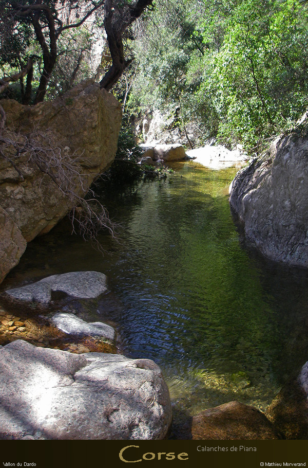 20080405_imgp3772