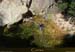 20080405_imgp3617