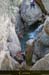 20080405_imgp3791