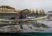 20090311_ qm8_026