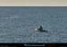 20260410_010