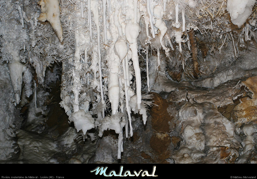 malaval0711_03mm