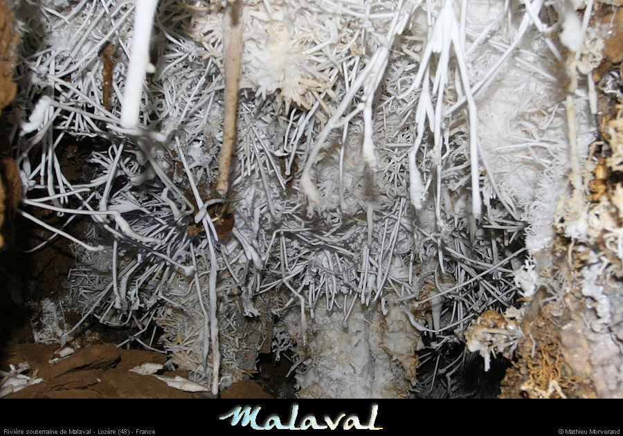 malaval0711_12mm