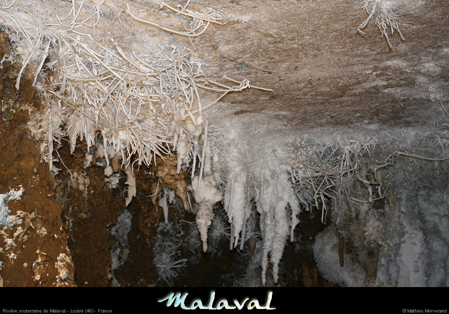 malaval0711_15mm
