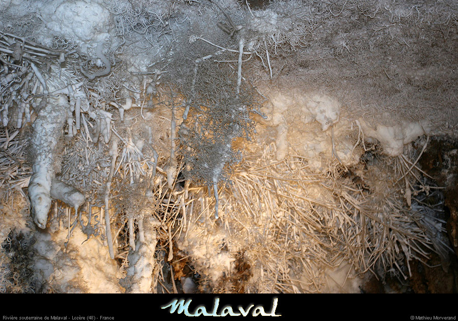 malaval0711_16mm