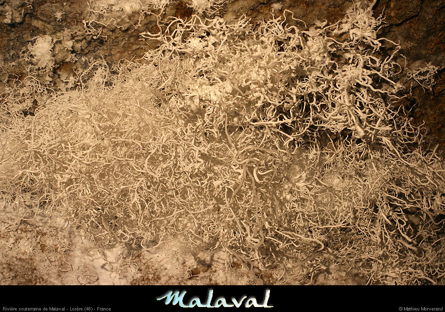 malaval0711_19mm