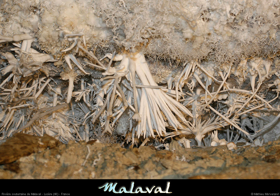 malaval0711_22mm