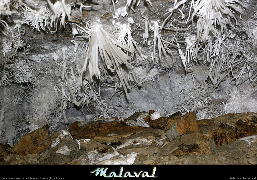malaval0711_25mm