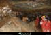 20071118_088mm