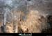 malaval0711_16mm
