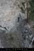 20070415_cheminvierge_32