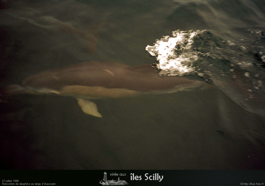 19960727_scilly96_06