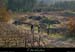 20111218_vtt_stgenestdebeauzon_vignesducros2