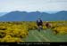 20100530_montselgues_testerougevtt3