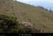 20220403_249