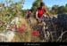 20120902_vtt_boisdeventalon3