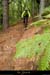 20131012_vtt30_malons_sentierdepialouzet3