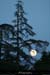 20100427_lunedepuislabigournette2