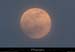 20130224_labeaume_lunebigournette2