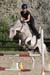 20260614l226