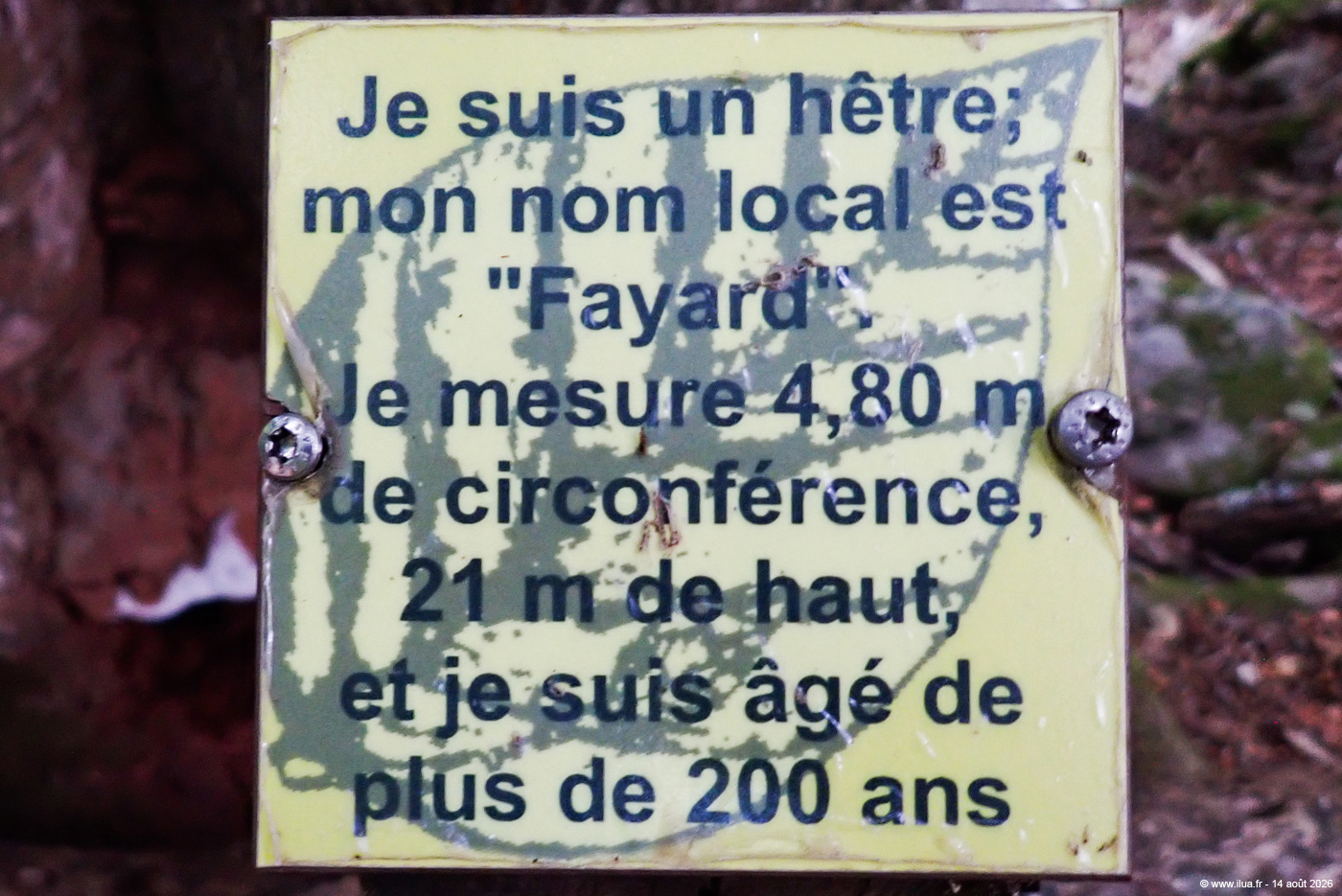20260814g008