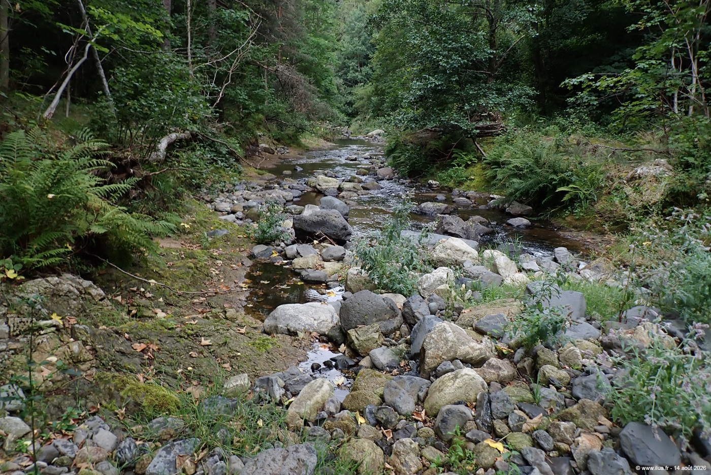 20260814g077