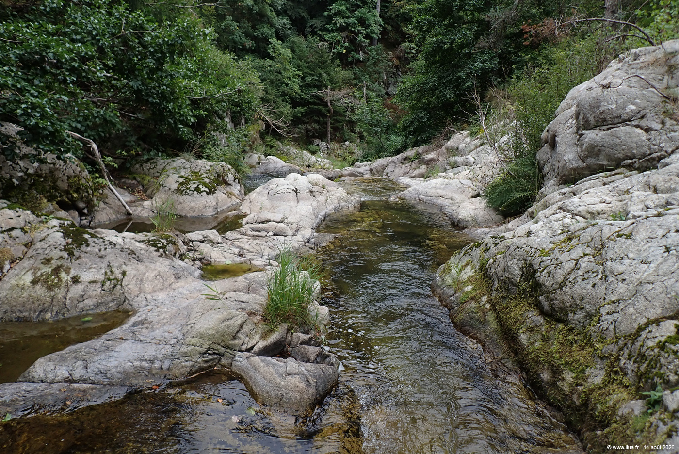 20260814g184