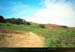 19900904_scilly_tresco_sentier