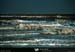 19950910_riverhumber_estuaire_courants