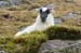 20050417_healypass_04