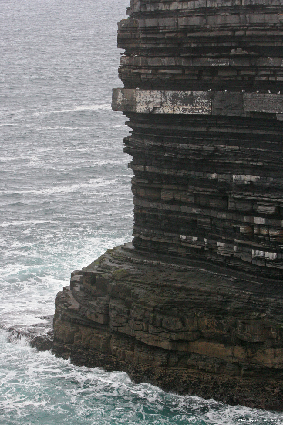 20060330_4_downpatrickhead_09
