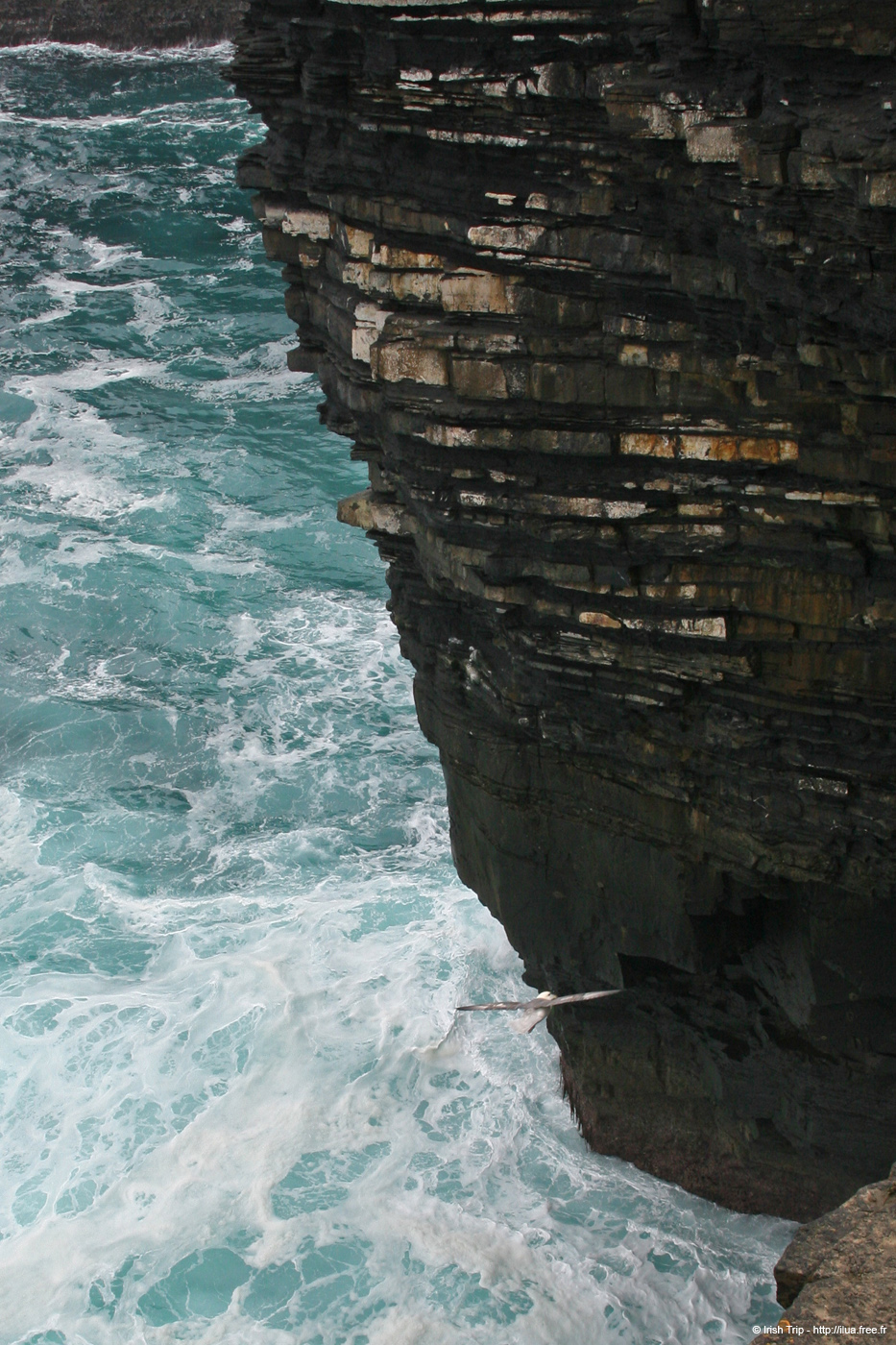 20060330_5_downpatrickhead_01