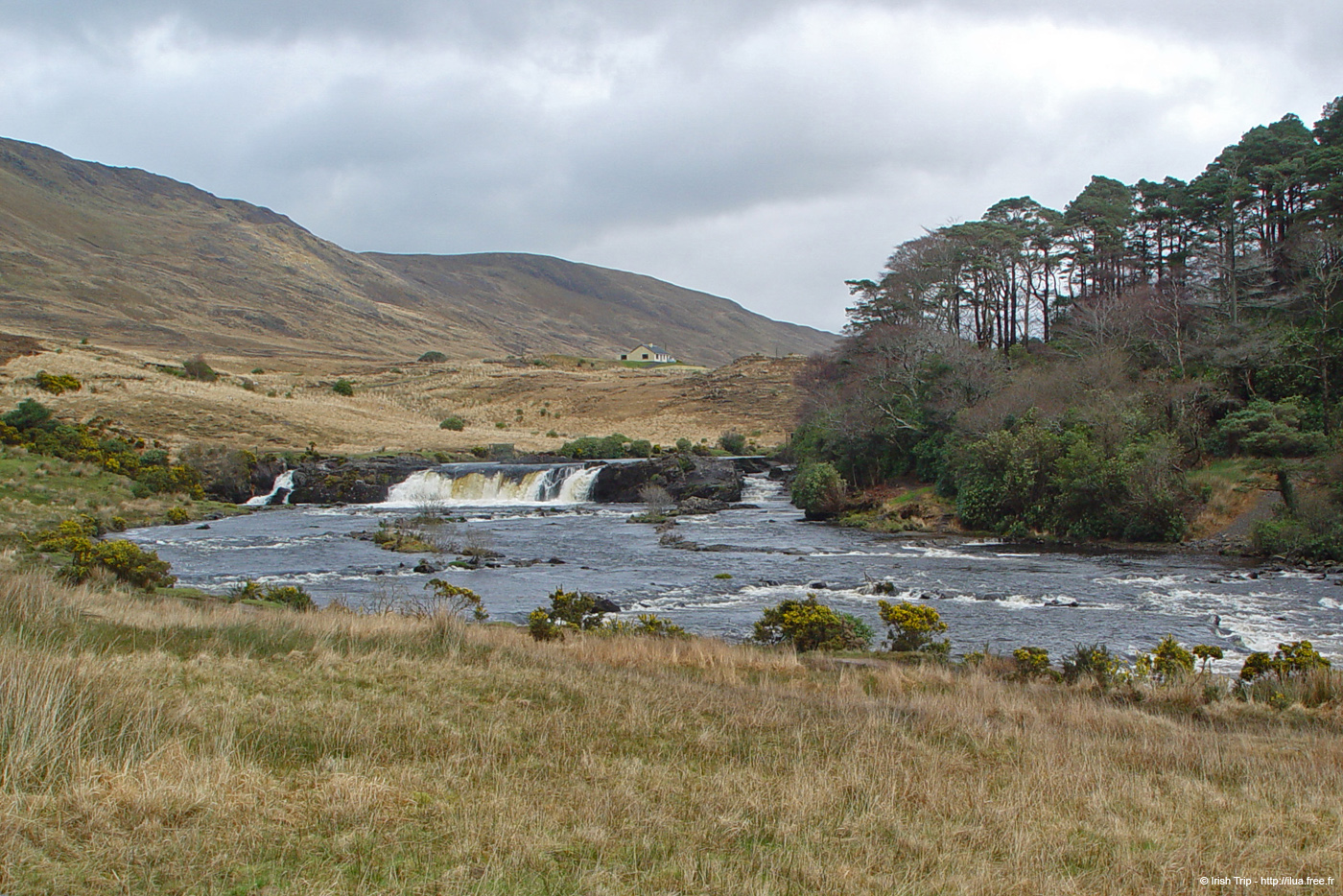 20060401_mayo_erriffriver_aasleaghfalls_1