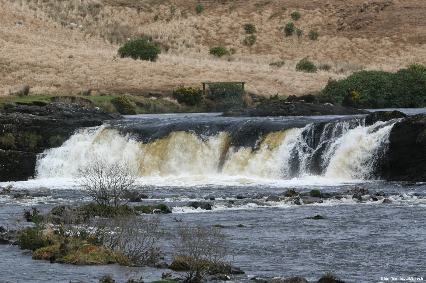 20060401_mayo_erriffriver_aasleaghfalls_2