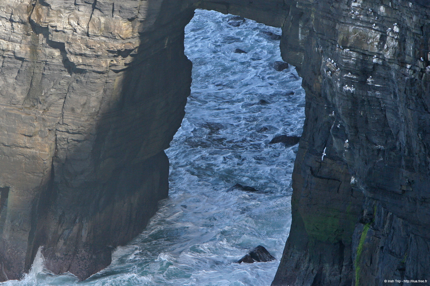 20060402_cliffsofmoher_42