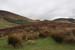 20060330_castlebar_windygap_1