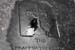 20060331_mayo_murriskcementery_2