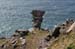 20060402_cliffsofmoher_70