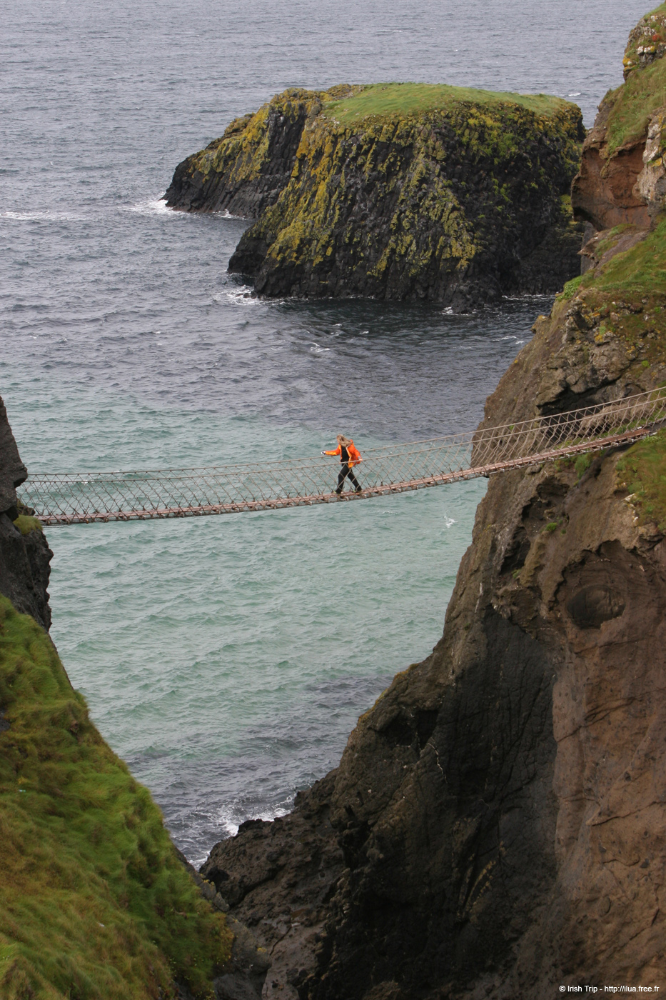 20081007_carrickarede14